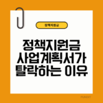 정책지원금 사업계획서, 탈락이유