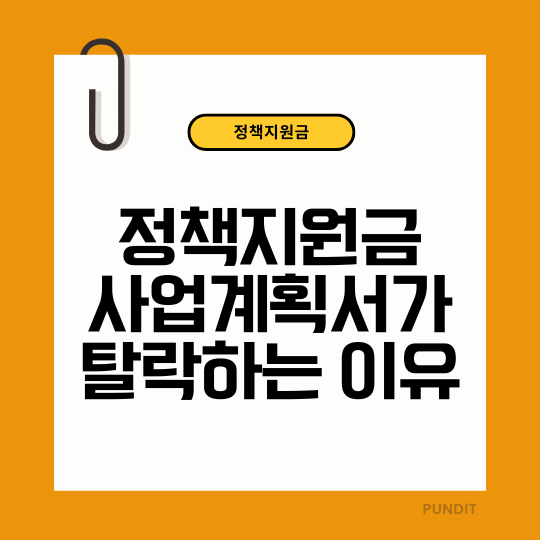 정책지원금 사업계획서, 탈락이유