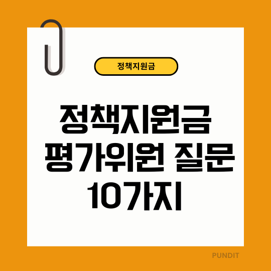 정책지원금 평가위원 질문 10가지